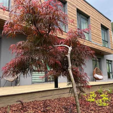 Mountain View Говедарци