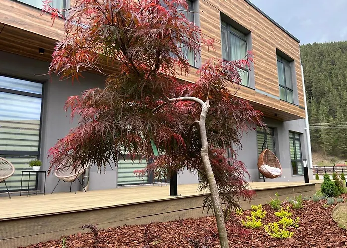 Mountain View 戈韦达尔齐